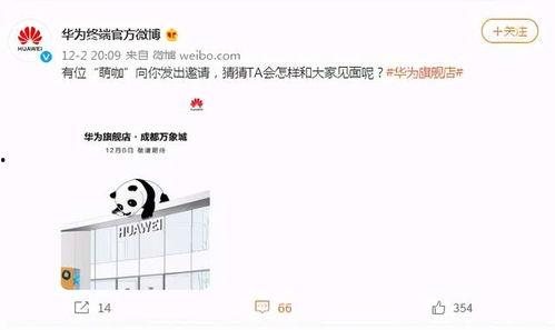 新鮮事兒大爆料直播視頻,直播視頻精彩瞬間回顧 第2張 新鮮事兒大爆料直播視頻,直播視頻精彩瞬間回顧 第2張