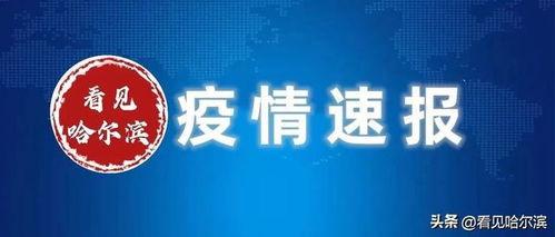 哈爾濱爆料新消息最新,揭秘城市新動態與重大事件！  第3張