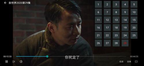 蛇叔爆料視頻大全最新版,揭秘娛樂圈最新動態與幕后真相