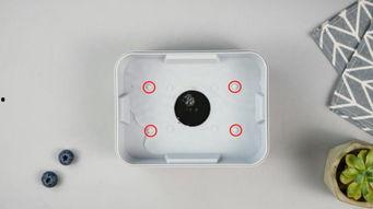 一次性飯盒爆料視頻,視頻爆料背后的環(huán)保與衛(wèi)生真相  第3張