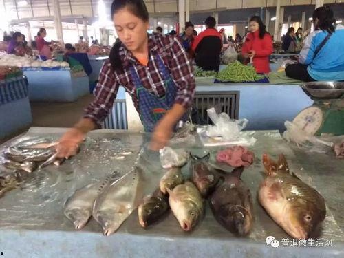 免費(fèi)吃瓜叫賣視頻,視頻直播帶你一探究竟  第3張