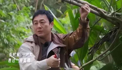 張頌文爆料娛樂圈視頻大全,視頻大全大揭秘