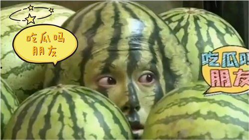 娛樂吃瓜地,吃瓜群眾背后的故事