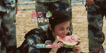 娛樂吃瓜地,吃瓜群眾背后的故事 第3張 娛樂吃瓜地,吃瓜群眾背后的故事 第3張