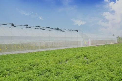 農場最新爆料,最新爆料揭示農業產業變革新動向  第3張