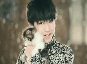 娛樂大爆料吳磊延遲畢業,娛樂大爆料背后的故事  第2張