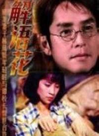 解語花 在線觀看,穿越時空的浪漫傳奇