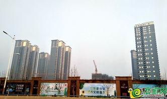 北湖新區最新爆料,揭秘未來城市新地標誕生記