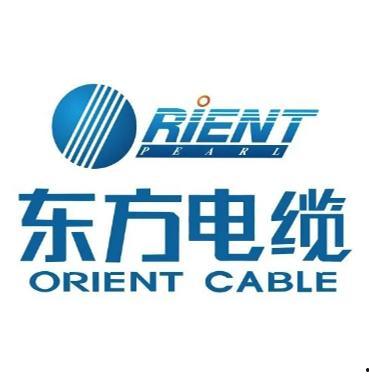 東方電纜最新爆料,揭秘行業(yè)新動態(tài)與技術創(chuàng)新