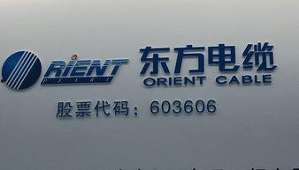 東方電纜最新爆料,揭秘行業新動態與技術創新 第3張 東方電纜最新爆料,揭秘行業新動態與技術創新 第3張