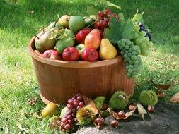 娛樂吃瓜場地圖片高清大圖,高清大圖揭秘網(wǎng)紅吃瓜場地 第2張 娛樂吃瓜場地圖片高清大圖,高清大圖揭秘網(wǎng)紅吃瓜場地 第2張