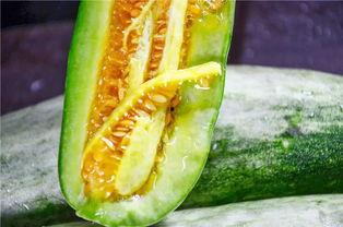 吃大瓜的網紅,揭秘娛樂圈幕后真相  第2張