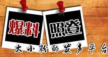 新聞大爆料粒子,新聞大爆料帶你探索微觀世界的奇跡