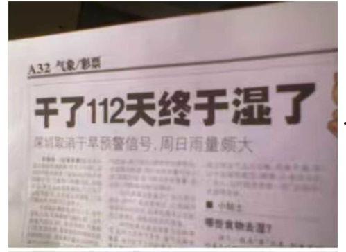 新聞事故爆料怎么寫標題,揭秘新聞背后的真相與反思