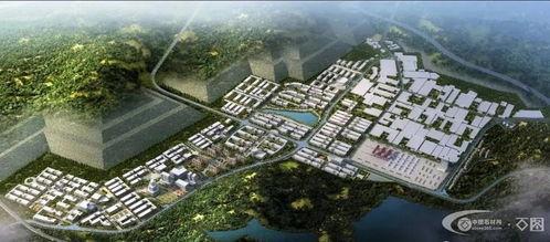 南安石井爆料最新消息,揭秘事件背后驚人真相  第3張