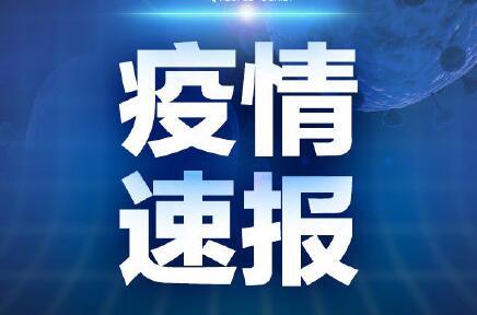 青島今日新聞爆料電話,揭秘今日焦點  第3張
