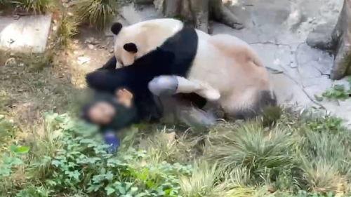 今日動物爆料最新消息,揭秘神秘生物新發現 第2張 今日動物爆料最新消息,揭秘神秘生物新發現 第2張