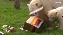 今日動物爆料最新消息,揭秘神秘生物新發現 第3張 今日動物爆料最新消息,揭秘神秘生物新發現 第3張