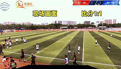 成都體育學院爆料視頻最新,揭秘校園內幕，真相令人震驚