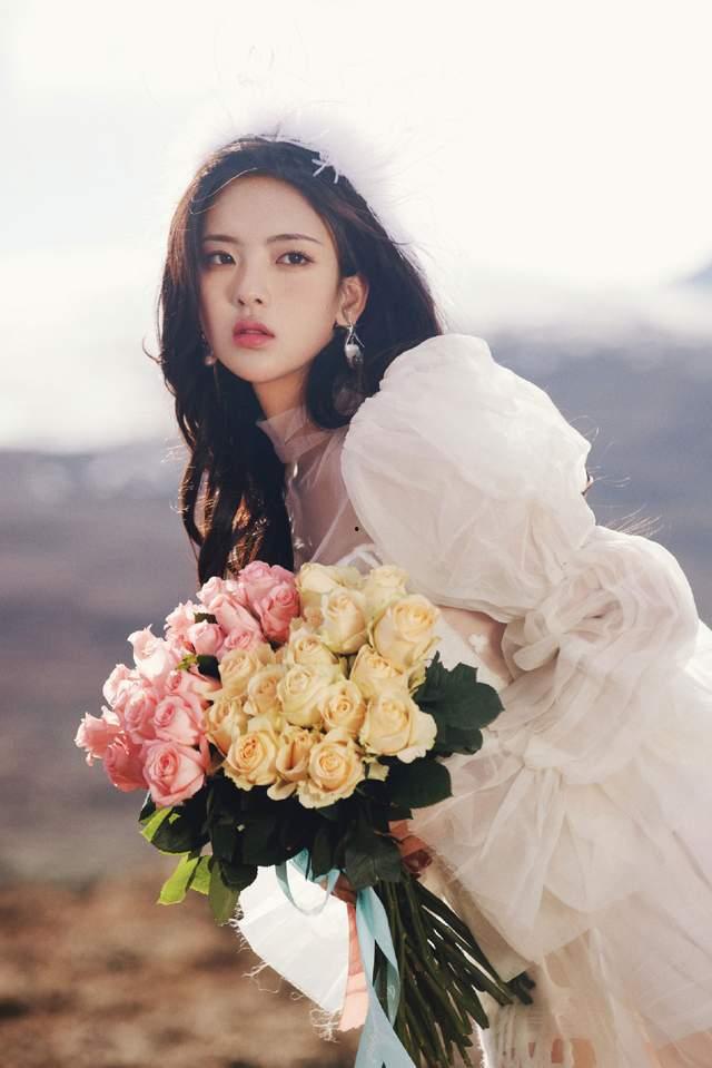 娛樂(lè)大爆料玫瑰,玫瑰背后的驚人真相大揭秘