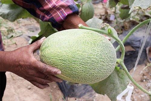 近期宿遷網(wǎng)紅吃瓜合集,盤點(diǎn)近期熱門事件