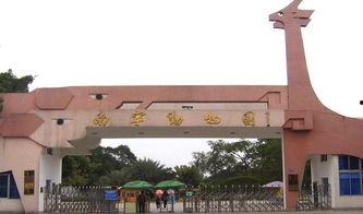 南寧動物園爆料案件最新,驚現動物逃脫事件，真相揭秘！