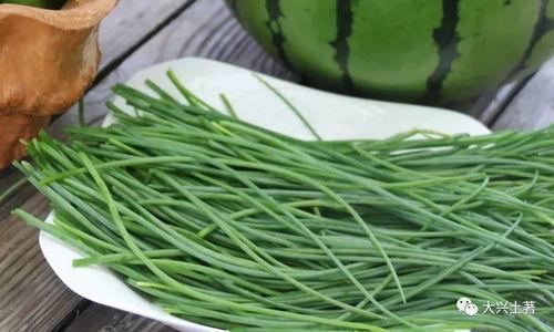 網紅吃瓜大集合圖片,一場視覺盛宴的狂歡時刻 第2張 網紅吃瓜大集合圖片,一場視覺盛宴的狂歡時刻 第2張