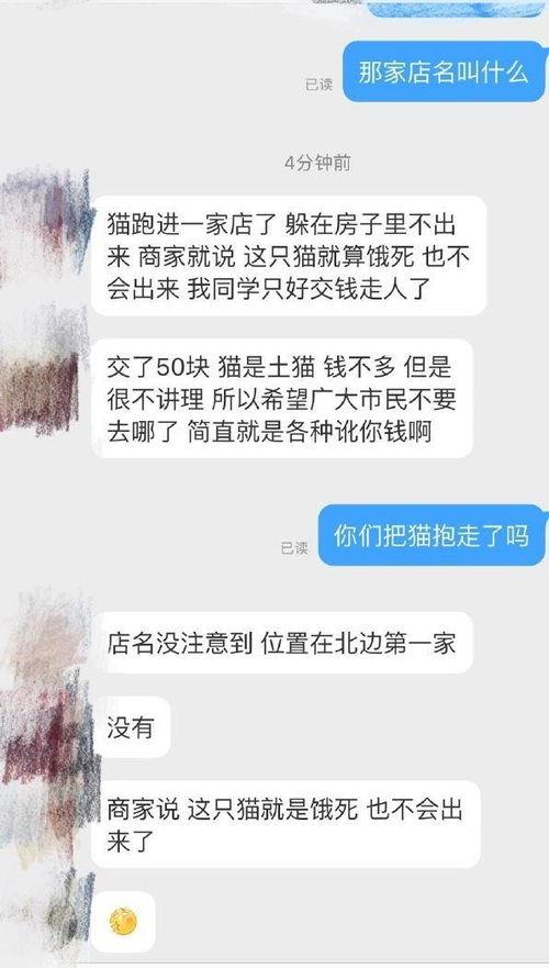 保定寵物店爆料視頻,揭秘寵物行業背后真相 第3張 保定寵物店爆料視頻,揭秘寵物行業背后真相 第3張
