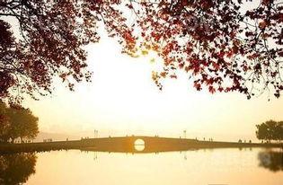 斷橋爆料技巧視頻大全,揭秘高效信息獲取秘籍 第2張 斷橋爆料技巧視頻大全,揭秘高效信息獲取秘籍 第2張