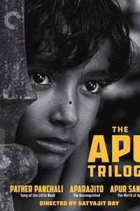 大地印度在線觀看,在線探索神秘印度文化的視覺之旅  第2張