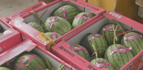 福利姬網(wǎng)紅吃瓜,揭秘娛樂圈幕后真相 第2張 福利姬網(wǎng)紅吃瓜,揭秘娛樂圈幕后真相 第2張