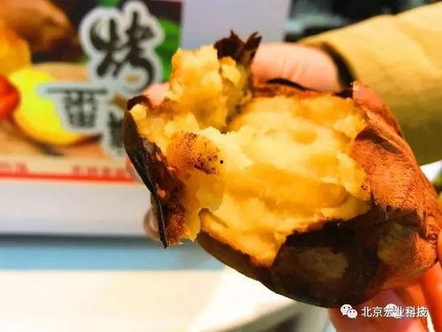 太原金虎最新爆料,揭秘金虎集團全新戰(zhàn)略布局與市場動向