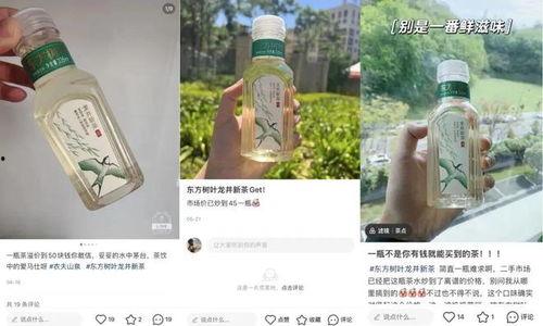 東方樹葉最新爆料,揭秘茶飲界的綠色革命 第3張 東方樹葉最新爆料,揭秘茶飲界的綠色革命 第3張