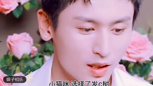 小五夫婦爆料視頻大全,揭秘生活點滴與情感歷程 第2張 小五夫婦爆料視頻大全,揭秘生活點滴與情感歷程 第2張