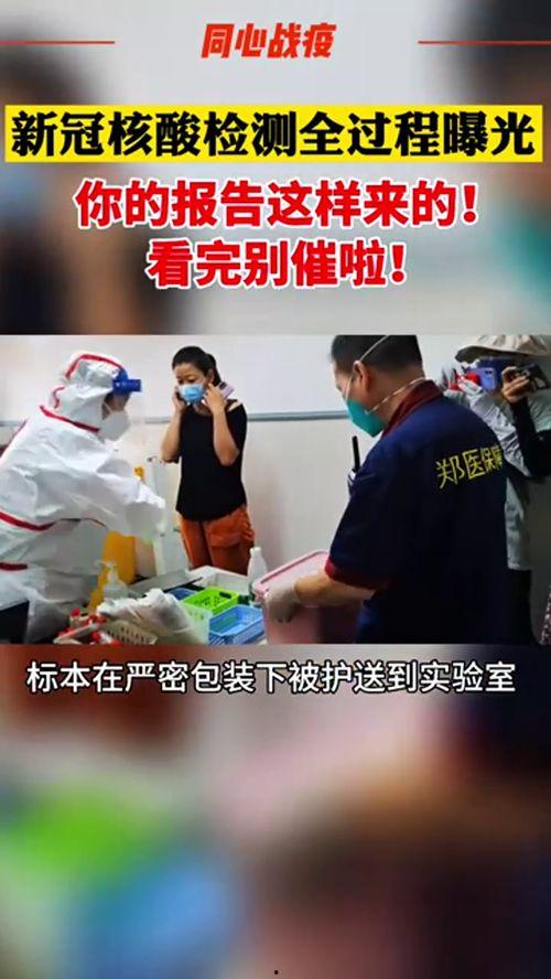 核酸爆料視頻大全最新,最新視頻大全深度解析 第2張 核酸爆料視頻大全最新,最新視頻大全深度解析 第2張