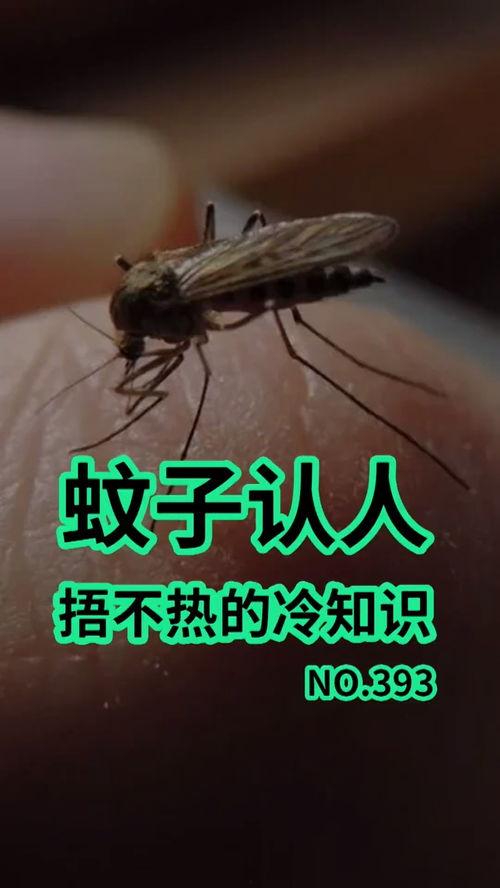 爆料大蚊子的視頻大全播放,驚悚瞬間直擊眼球 第3張 爆料大蚊子的視頻大全播放,驚悚瞬間直擊眼球 第3張