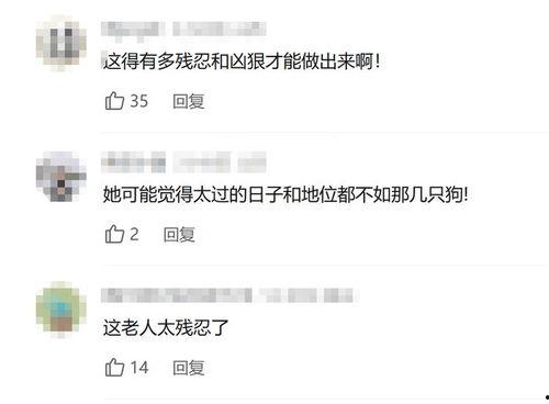 爆料婆婆視頻大全集,揭秘家庭生活點滴  第3張