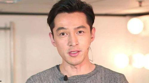 胡歌孩子此前爆料視頻是真的嗎,胡歌孩子爆料視頻真實性探討  第2張