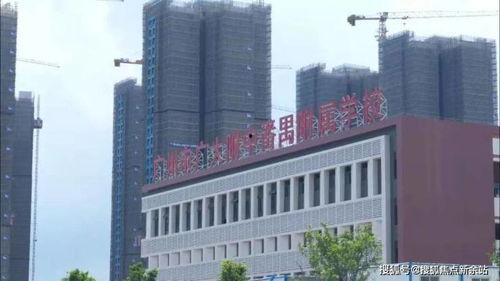 增城房產爆料最新消息,揭秘增城樓市新趨勢與投資機遇 第2張 增城房產爆料最新消息,揭秘增城樓市新趨勢與投資機遇 第2張