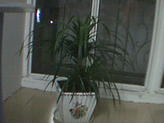 桂林新聞爆料找誰  第2張