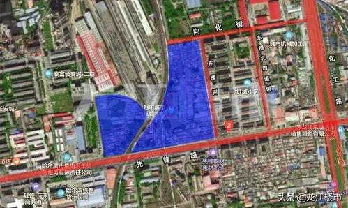 哈爾濱道外區最新爆料,揭秘神秘事件背后的真相 第2張 哈爾濱道外區最新爆料,揭秘神秘事件背后的真相 第2張